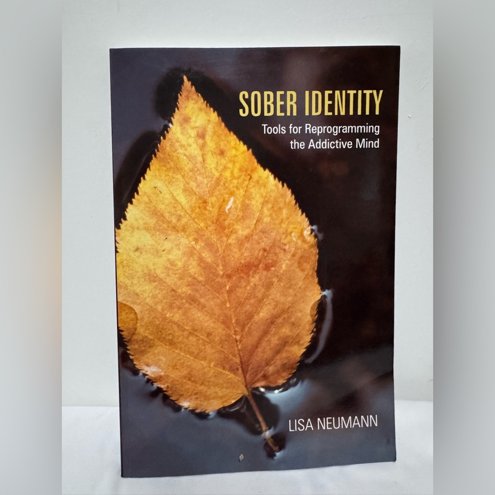 Vintage Book Sober Identity: Tools for Reprogramming the Addictive Mind.